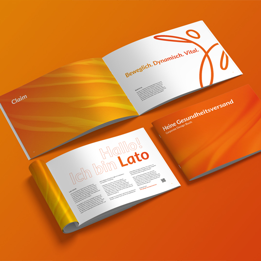 Mockup Flyer Heine Gesundheitsversand