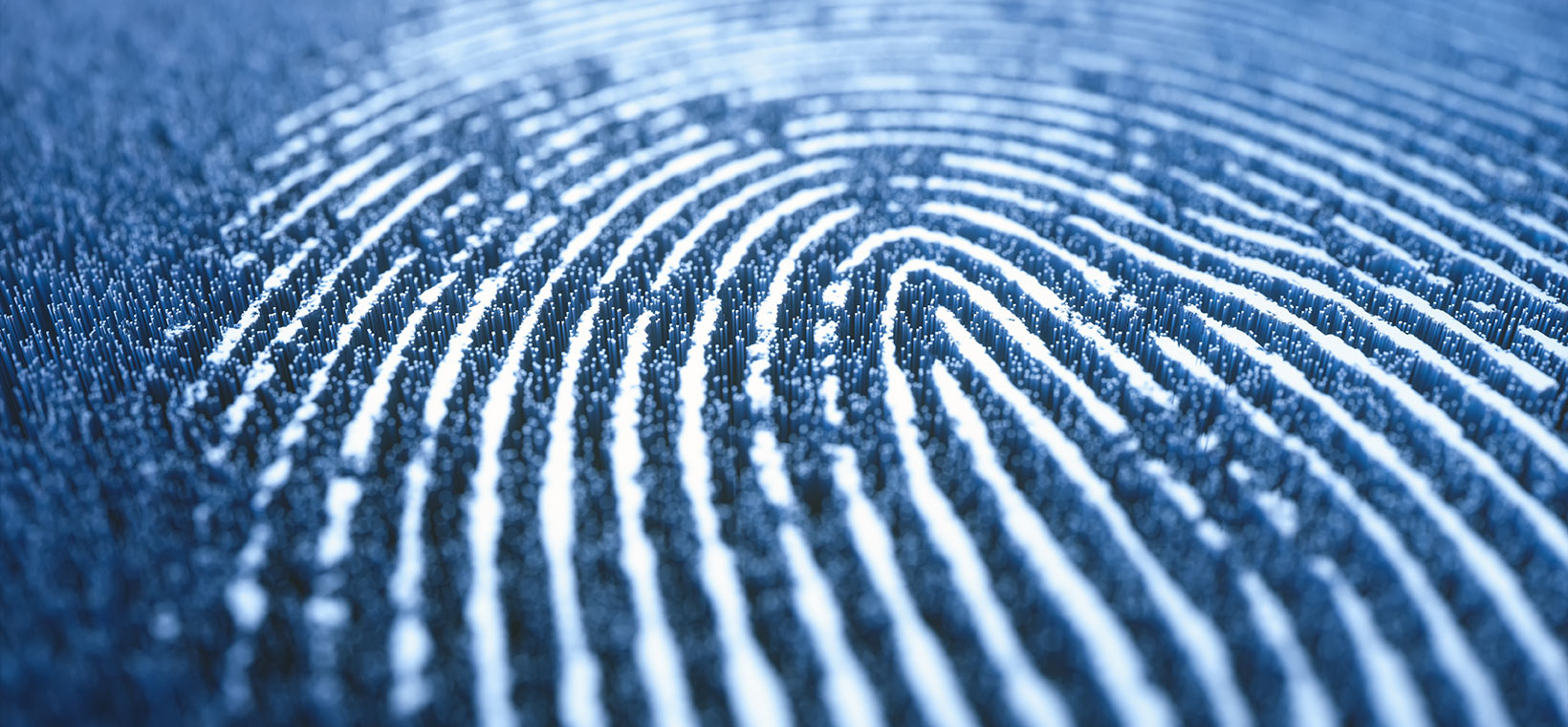 Corporate Identity – zeigen Sie, wer Sie sind!